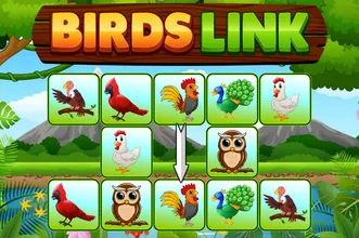 Birds Link